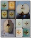 Collage - facce di mela